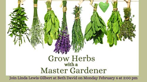 Banner Image for Herb Growing for Tu B'Shevat